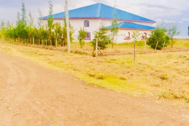 Isinya plots (Commercial)