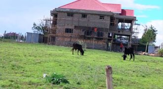 ISINYA GARDENS (RESIDENTIAL GATED COMMUNITY)