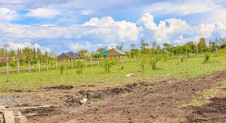 Isinya Gardens: Dream Home Haven.